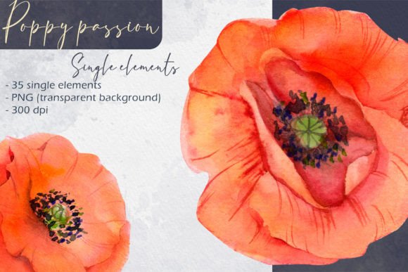 Download Poppy Passion: Single Elements - Elements Collection
