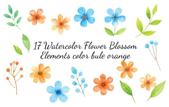 Download Watercolor Flower Blossom Elements Color - Elements Collection
